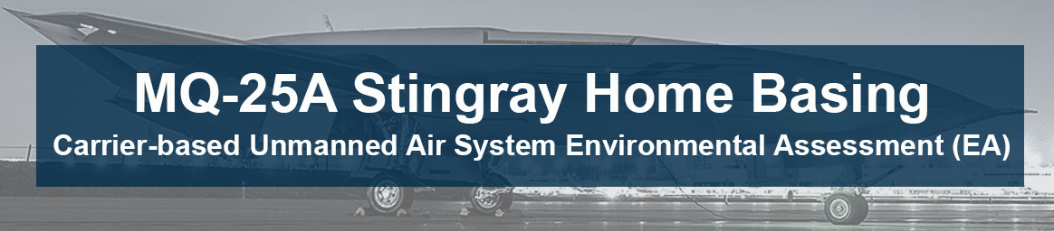 Stingray Banner