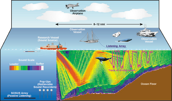 Research approach diagram. The research vessel emits sound underwater. The sound is picked up by a listening array towed by one observation vessel. A second observation vessel and an airplane are in the area. The vessels are separated by 8 to 12 nautical miles.